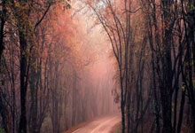 nba视频直播在线观看腾讯体育，nba直播腾讯体育直播视频